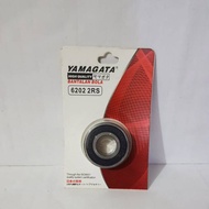 Bearing/bearing 6202