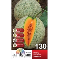 🔥🔥BIG SALES🔥🔥 Rock Melon Rocky (10sds) 日本网纹蜜瓜 Jom Tanam by Crop Power JT130