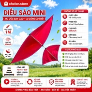 Cheap assembled 1m mini flute kite that can carry a return d15 flute - Cho Lon. Store Store Store St