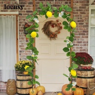 Ioensy Fake Fruit Hanging Wreath Indoor 170cm Artificial Lemon Garland Greenery Vine for Stairs Cabi