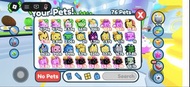 Roblox PET SIMULATOR X PETS