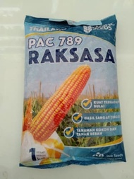 Benih Jagung hibrida PAC 789 RAKSASA 1Kg Pacific Seeds