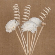 Rattan Aromatherapy Stick Set, Rattan Reed Fragrance Diffuser and Flower Replacement Rattan Stick, S