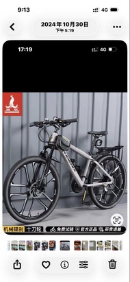 鳳凰牌 變速登山單車 十刀輪 機械碟剎