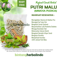 PUTRI MALU 100 Kapsul Herbal
