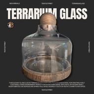 Glass Cloche Terrarium with Wooden Base – For Isopods, Moss & Plants 🌳