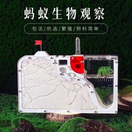 Ant Nest Acrylic Sand Nest Free Ant Queen Student Observation Ecological Box Ant Nest Room House Man