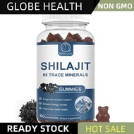 [60pcs] 100% Natural Himalayan Shilajit Resin-kualiti Premium makmal malaysia diluluskan sudu percum