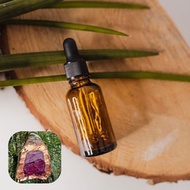 【香間小路】天然精油 花梨木精油 Rosewood ( 贈甜橙精油10ml )