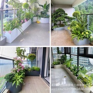 Outdoor Flower Box Flower Stand Balcony Courtyard Courtyard Sales Floor Flower Slot Flower Pot Windo