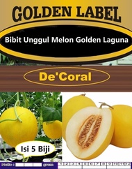 Bibit Unggul Melon Golden Laguna | Biji Benih Melon Golden Laguna 