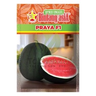 Benih Tembikai Bulat Manis Buah Besar PRAYA F1 Bintang Asia (20gm)