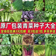 Vegetable Seeds Four Seasons Shanghai Green Vegetable Seeds Hollow Vegetables Artemisia Coriander Co