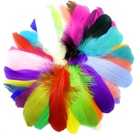 Colored Goose Feather 5-7"/13-18cm Geese Feathers for Crafts Dream Catcher Wedding Decoration Jewelr