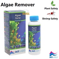 NtLabs Algae Gone Aquarium Algae Remover Clarify Green Water Cloudy Water Clarifyer Shrimp Safe Alga