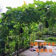 H-Y/ Grape Rack Climbing Vine Wrought Iron Arch Flower Stand Rose Lattice Luffa Chinese Rose Flower Stand Outdoor Garden