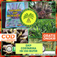BENIH KECAMBAH POLONG BIBIT SAWIT COSTARICA COSTARIKA UNGGUL KOTAK ISI 250 BUTIR MALAYSIA BERSERTIFI