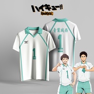 HAIKYUU AOBA JOHSAI, OIKAWA, IWAIZUMI ANIME COSPLAY JERSEY, FULL PRINTING, UNIT 005