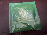 TWG 茶包 12個 Tea WG 1837 tea bags 12 pcs Sencha tea 日本 煎茶 綠茶