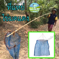 Red Ant Egg Teaser Swing Fruit Picker Net