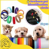12PCS Newborn Pet Identification Circle Puppy Dog Cat Neck Identification Band Pet Neck Collar
