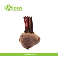 LEECIOUS Fresh Vegetables Ubi Bit / Beetroot per pcs