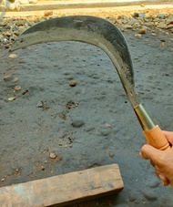 sabit jawa super tajam/ sabit tajam isen wojo asli- arit rumput baja asli super tajam