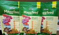 Maggot BSF Maggfeed-Black Soldier Fly(BSF)-For Channa, Arowana, Koi, Louhan &amp; other tropical fish-Makanan Channa