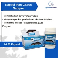 Natapro Original Pro Albumin Kemasan Baru BPOM Kapsul Albumin Ikan Gabus Kutuk 50 kapsul | kapsul ikan gabus yg ori