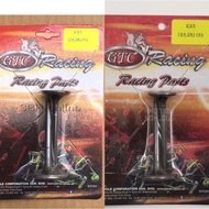 VALVE SET RACING ##VALVE RACING##BIG VALVE -EX5/EX5 DREAM/WAVE 100 (23,28)(24,28)