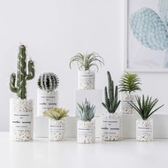 Sorelina Succulent Artificial Plant Ins Nordic Potted Cactus Green Plant Decoration Fake Flower Desk