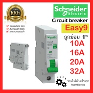 Schneider Easy9 1P 10A 16A 20A 32A Sub-circuit breaker EZ9F6011 circuit