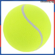 🌱 HOLIDYOYO Inflatable Tennis Ball para sa Malalaking Aso Chew-resistant, Para sa Pagkuha, Outdoor E