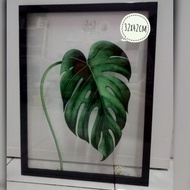 Frame Glass Monstera Kaison (32x42cm) Frame Kaca Bercorak Daun Monstera
