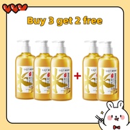 Anti off shampoo Hair growth shampoo Hair loss shampoo Ginger shampoo 500ML Ginger Hair Regrowth Den