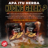 Kopi Best Power Bertenaga Kopi Kucing Galak Original Khusus untuk Para Suami & Isteri Tambah Tenaga 