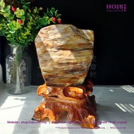 HOJB Madagascar Petrified Wood(Dendrolite) Rough Stone Ornament 14x21cm(2.76KG) 聚寶軒天然马达加斯加木化石(树化玉)原石