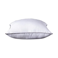 45x45/50x50/60x60/35x55cm Quality Pillow White Bounce Back Pillow Cushion Core Sofa Car Seat Home In