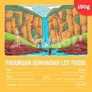 Gumandar Special Lot Fugol Arabica Coffee Beans (150gr) Specialty Coffee Arabica