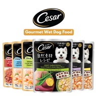 CESAR Dog Pouch 70g / Crafted Wet Food For Dog