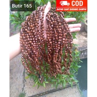 Tasbih kaokah wajik grain 165 uk8