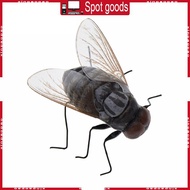 XI Small Insect Fridge Magnets Strong Magnets Simulation Fly Fridge Magnet for Home