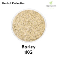 Pearl Barley / Jali Jali Bulk Seeds 1Kg