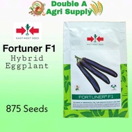 Fortuner F1 Hybrid Eggplant Asenso Pack - East West Seed