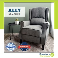 Wing Chair / Sofa /Armchair / Recliner Chair / Sofa / Lounge Chair / Wing Chair sofa