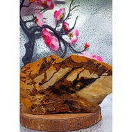 F0SIL K4YU ABSTRACT MOTIF AGATE STONE READY TO POLISH