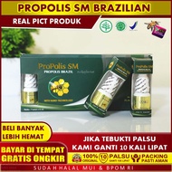 Walatra Propolis SM Brazil Bagus Untuk Obat Herpes Kulit Kencing Nanah Congek Telinga Bernanah Berde