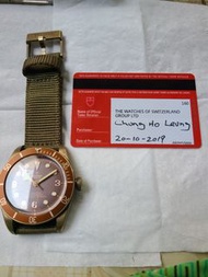 Tudor 銅錶