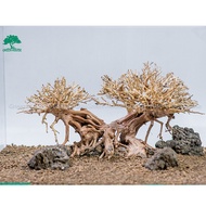 Bonsai Driftwood, Aquatic Driftwood For Aquarium Decoration, Aquarium, Office, Home- Green House