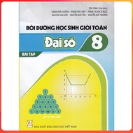 Book - Fostering excellent students in Math 8 - Algebra + Geometry (Exercises)